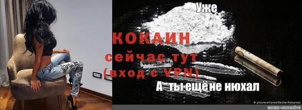 стаф Каменск-Шахтинский