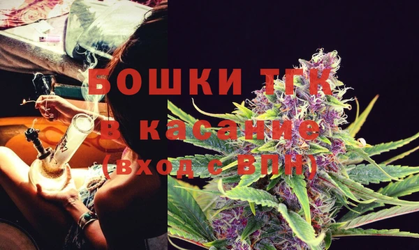 тгк Каменка