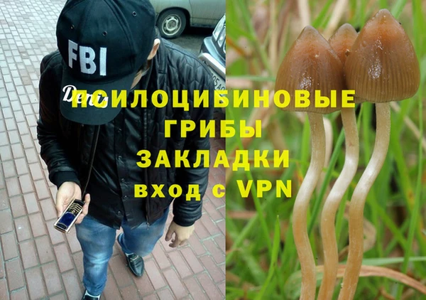 тгк Каменка