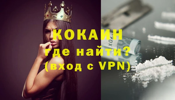 стаф Каменск-Шахтинский
