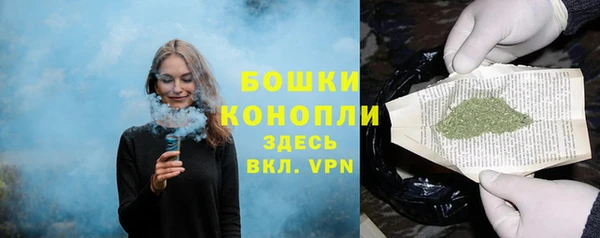 индика Шадринск
