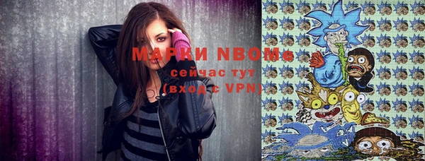 тгк Каменка