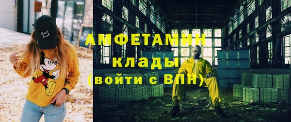 индика Шадринск