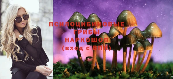 стаф Каменск-Шахтинский