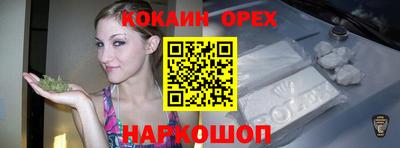 спиды Кингисепп