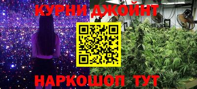 эйфоретик Кимры