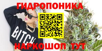 спиды Кингисепп