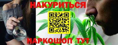 спиды Кингисепп