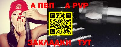 спиды Кингисепп