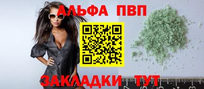 спиды Кингисепп