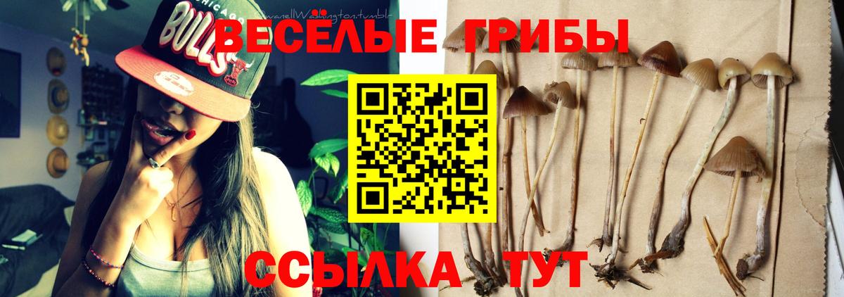 Галлюциногенные грибы мухоморы  Энгельс 