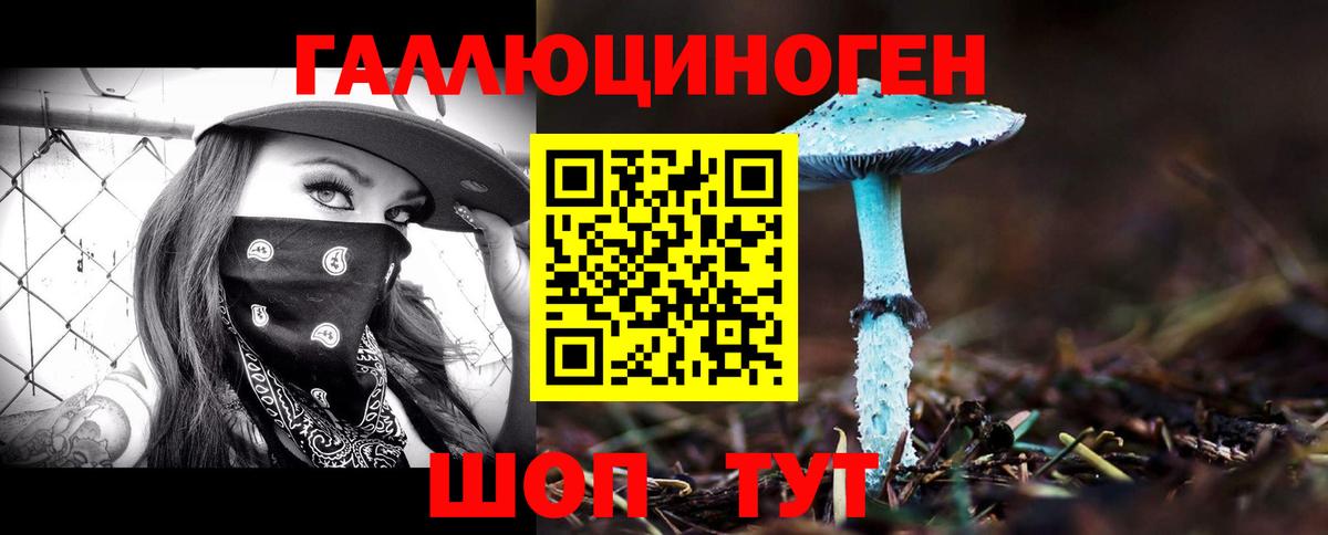 наркотики  Псилоцибиновые грибы мицелий  Вход с VPN  Энгельс 